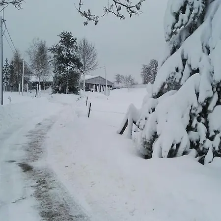 公寓 In Mittelsaida